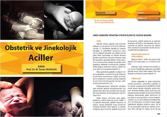Özkan Halis Doğukan Kitap Obstetrik ve Jinekolojik Aciller