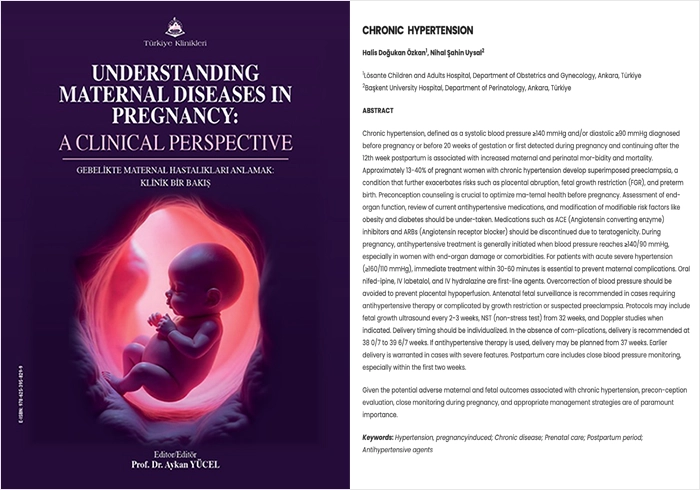Özkan HD Understanding Maternal Diseases in Pregnancy: A Clinical Perspective Kitap